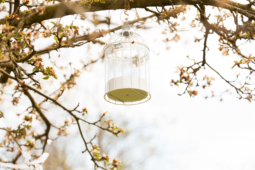 Bruidsfotograaf_De-Weistaar-Maarsbergen (2)