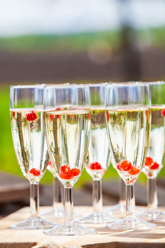 Bruidsfotograaf_De-Weistaar-Maarsbergen (8)